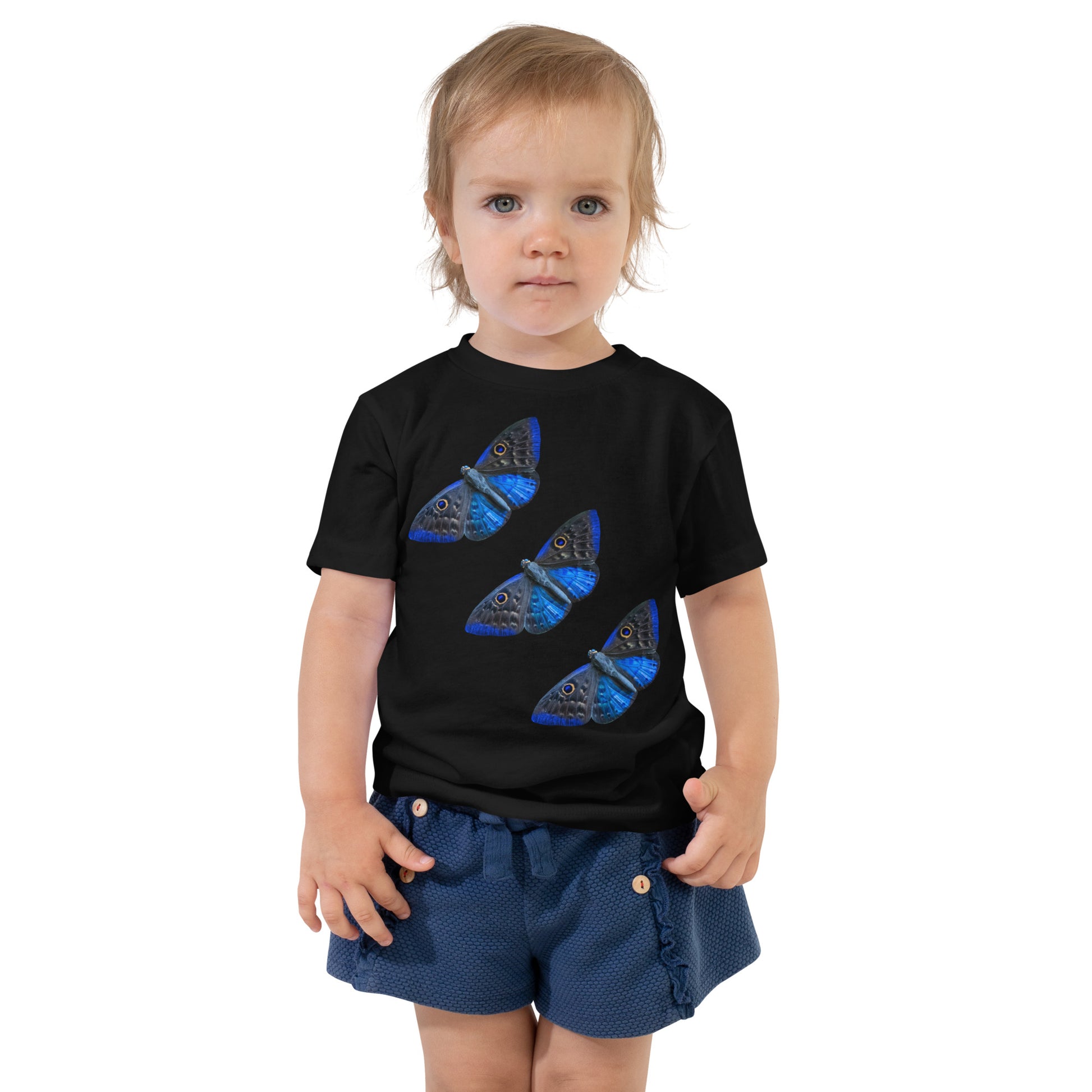 toddler with black t-shirt with print of 3 blue butterfly's  