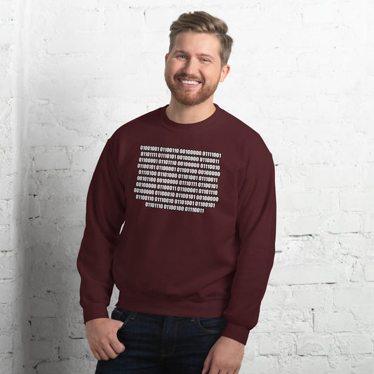 Men with maroon sweatshirt with binaire text "If you can read this"
