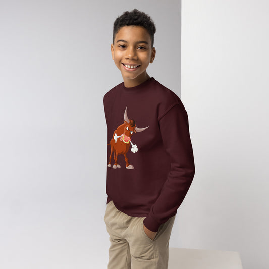 maroon kids sweatshirt with bull